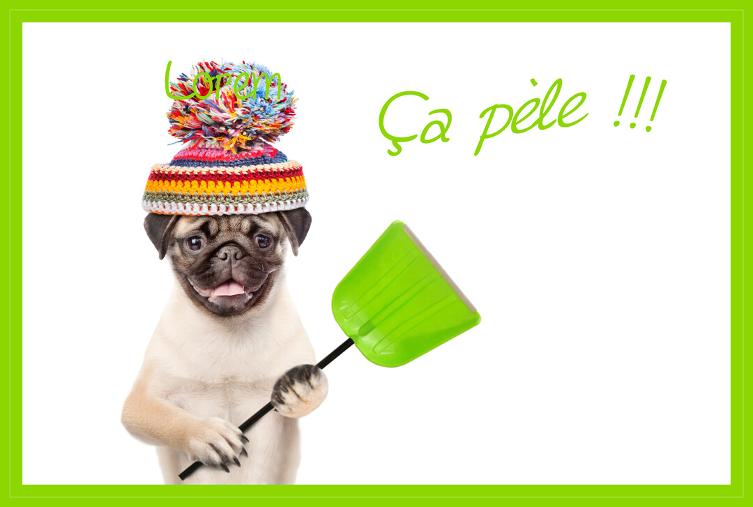 Un carlin amusant, coiffé d'un bonnet d'hiver à pompon, tient une pelle verte, illustrant l'expression 'Ça pèle !!!' sur un fond blanc.