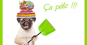 Aperçu de la carte : Ça pèle !!!