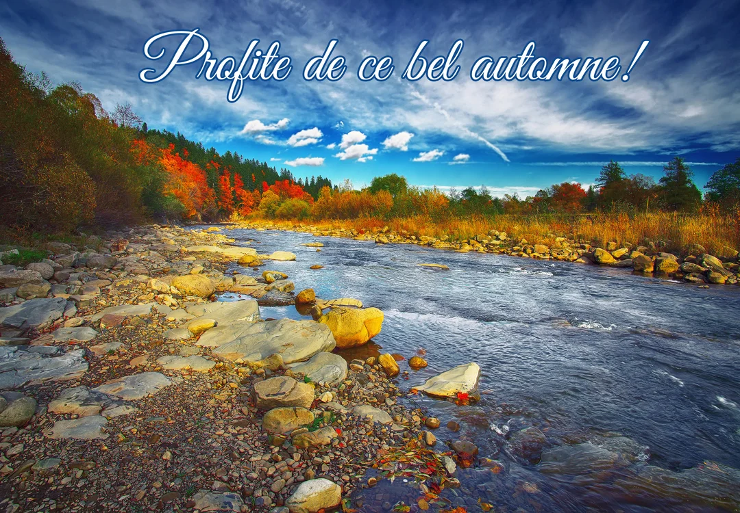 Un paysage d'automne vibrant avec une rivière coulant sur des rochers, bordée d'arbres aux feuilles rouges et oranges sous un ciel bleu.