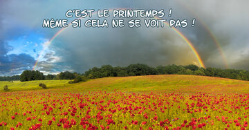 Aperçu de la carte : C'est le printemps !
Même si cela ne se voit pas !