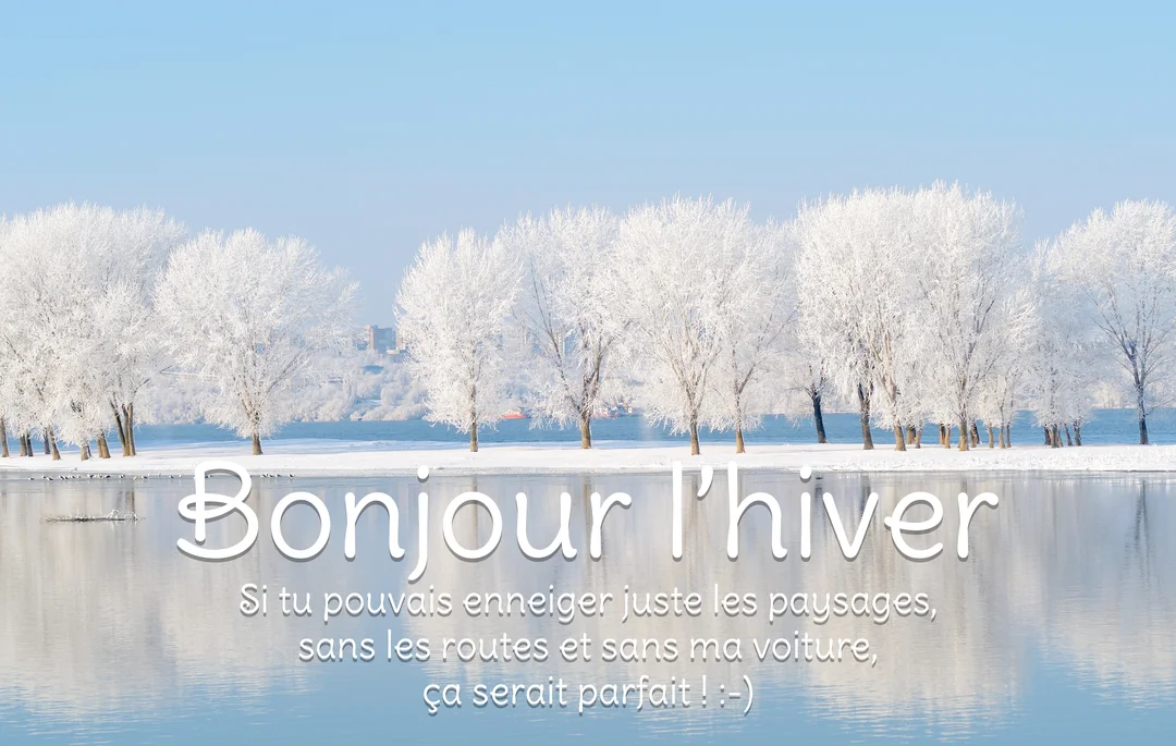 Un paysage hivernal serein avec une rangée d'arbres couverts de givre blanc se reflétant dans l'eau calme sous un ciel bleu clair.