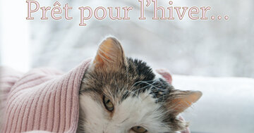 Aperçu de la carte : Prêt pour l'hiver...