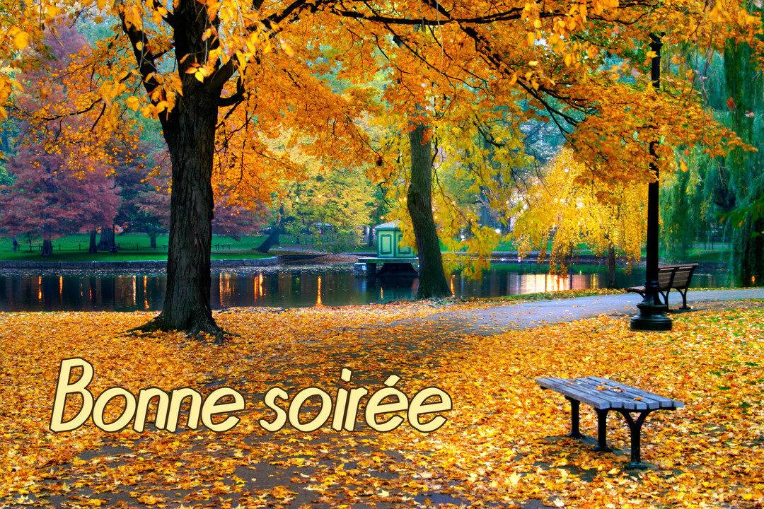 Un parc public en automne au crépuscule, où des arbres aux feuilles dorées bordent un lac et un chemin jonché de feuilles mortes.