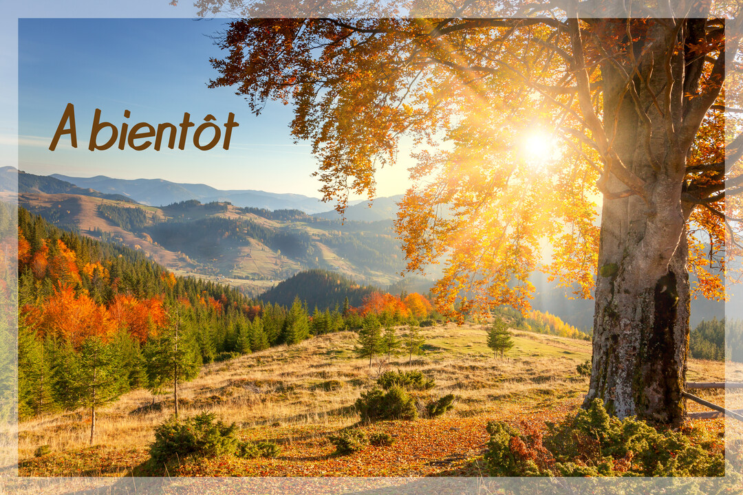 Un paysage de montagne en automne sous un ciel bleu, avec un grand arbre aux feuilles orange baigné par un soleil éclatant.