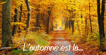 Aperçu de la carte : L'automne est là....