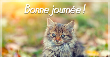 Aperçu de la carte : Bonne journée !