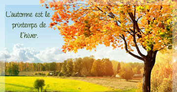 Aperçu de la carte : L'automne est le 
printemps de
l'hiver.