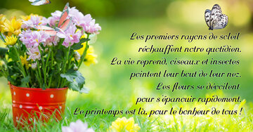 Aperçu de la carte : « Les premiers rayons de soleil réchauffent notre quotidien. La vie reprend, le printemps est là... »
