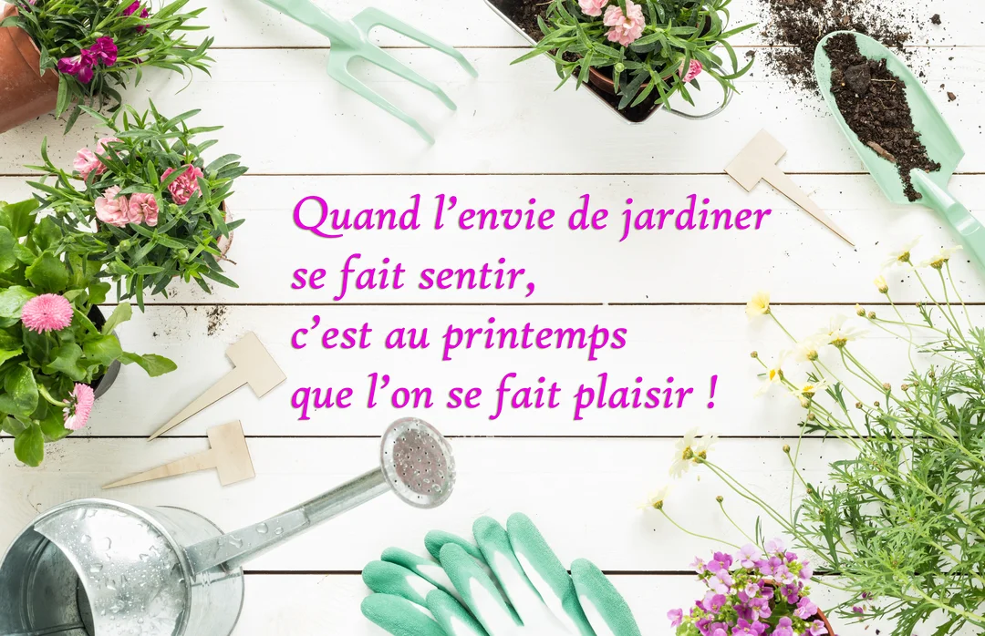Vue de dessus d'outils de jardinage, de pots de fleurs roses et d'un arrosoir, disposés sur des planches de bois peintes en blanc.