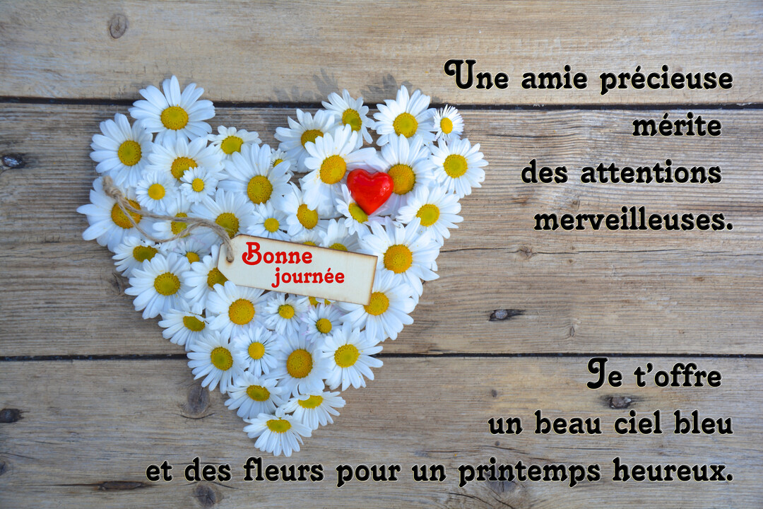 Vue de dessus d'une composition en forme de cœur faite de marguerites, posée sur une surface en bois rustique, avec un texte poétique.