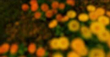 Aperçu de la carte : Bonne journée