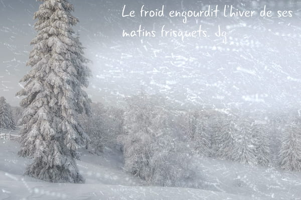 Carte animée montrant un paysage d'hiver avec des sapins couverts de neige sous une chute de flocons, et un message chaleureux pour souhaiter une bonne journée.