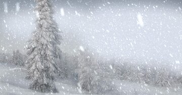 Aperçu de la carte : « Je t'envoie ce message pour te réchauffer et te souhaiter une douce journée... »