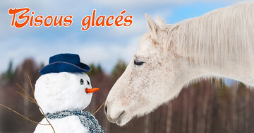 Aperçu de la carte : Bisous glacés