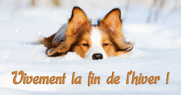 Aperçu de la carte : Vivement la fin de l'hiver !