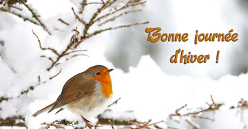 Aperçu de la carte : Bonne journée 
d'hiver !