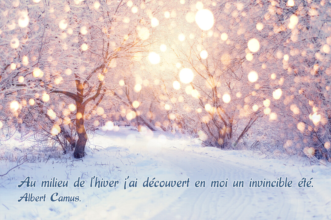 Une allée forestière enneigée est bordée d'arbres couverts de givre, illuminée par des halos de lumière dorée créant une atmosphère féerique.