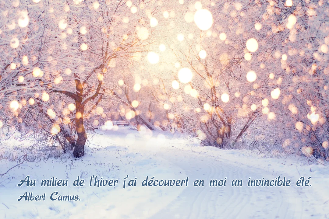 Une allée forestière enneigée est bordée d'arbres couverts de givre, illuminée par des halos de lumière dorée créant une atmosphère féerique.