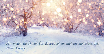 Aperçu de la carte : « Au milieu de l'hiver j'ai découvert en moi un invincible été... »