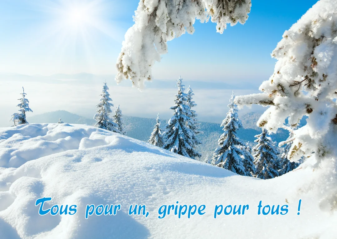 Un paysage hivernal ensoleillé montre des montagnes et des sapins couverts de neige, avec une inscription humoristique sur la grippe au premier plan.