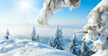 Aperçu de la carte : Tous pour un, grippe pour tous !