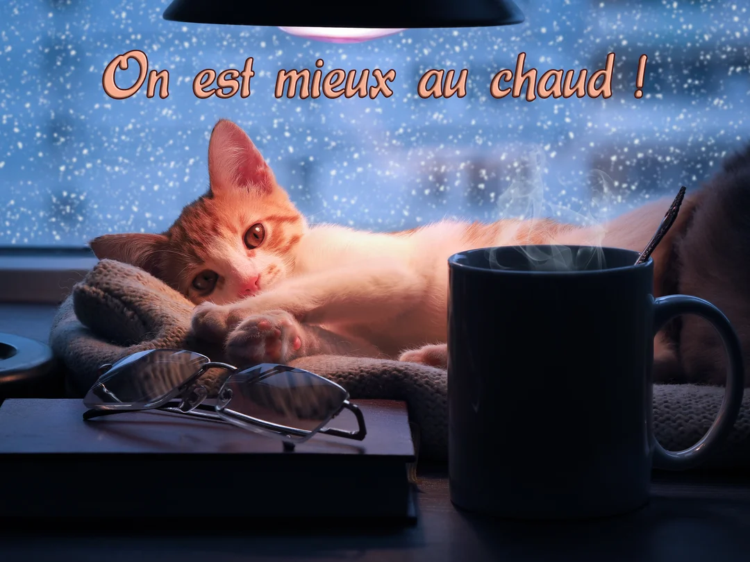 Un jeune chat roux est allongé à l'intérieur près d'une fenêtre enneigée, à côté d'une tasse chaude, sous la lumière d'une lampe.