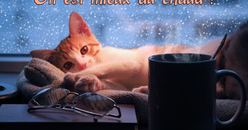 Aperçu de la carte : On est mieux au chaud !