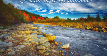 Aperçu de la carte : C'est l'automne !