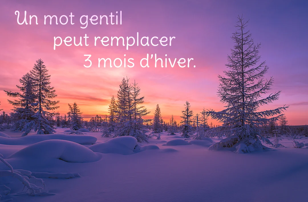 Une forêt de sapins enneigés se découpe sur un ciel crépusculaire aux teintes roses et violettes, avec des congères au premier plan.