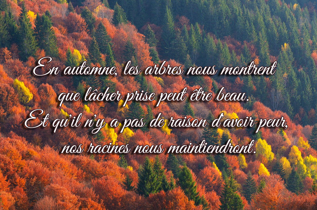 Vue plongeante sur une colline couverte d'une forêt dense aux couleurs automnales, avec une citation inspirante superposée au centre de la carte.