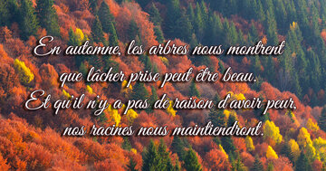Aperçu de la carte : « En automne, les arbres nous montrent que lâcher prise peut être beau... »
