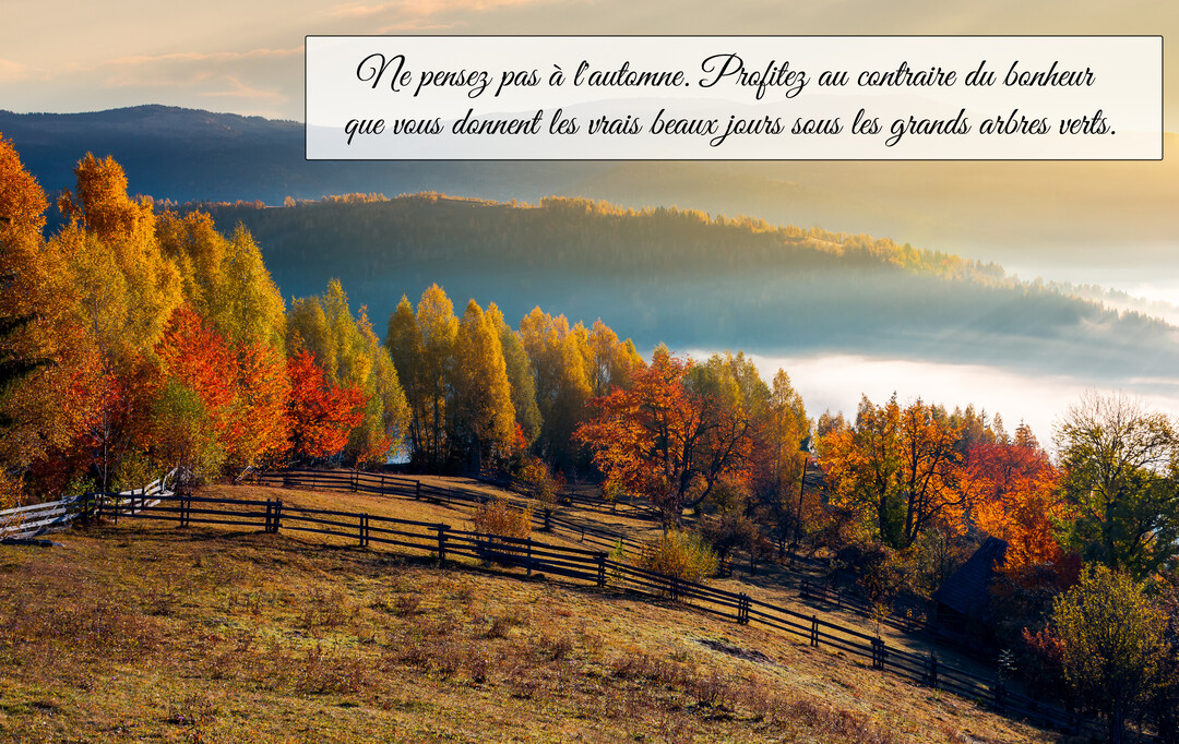 Un paysage de montagne en automne au lever du soleil, avec une forêt aux couleurs vives, une vallée brumeuse et une clôture en bois.