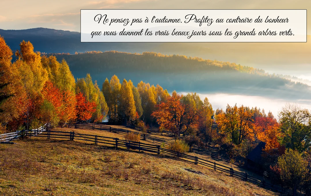 Un paysage de montagne en automne au lever du soleil, avec une forêt aux couleurs vives, une vallée brumeuse et une clôture en bois.