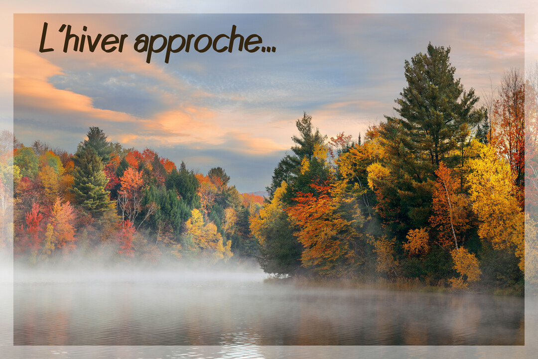 Une forêt d'automne aux feuilles rouges et jaunes borde un lac brumeux sous un ciel pastel au lever du soleil.