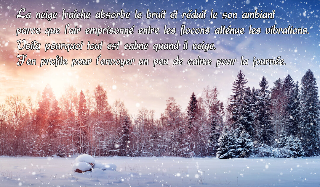 Une forêt de conifères recouverte de neige sous un ciel teinté de rose et bleu, avec des flocons qui tombent au premier plan.