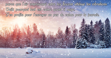 Aperçu de la carte : « La neige absorbe le bruit... j'en profite pour t'envoyer un peu de calme... »