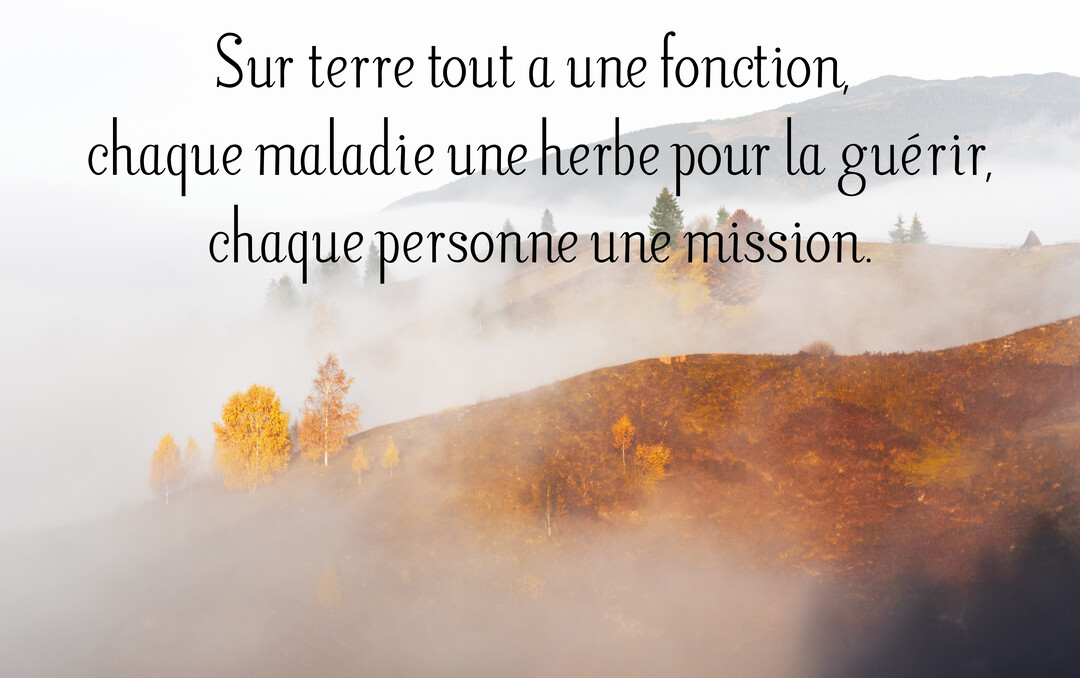 Une citation philosophique en noir est superposée sur une photographie d'un paysage montagneux et brumeux, avec des arbres aux teintes automnales dorées.