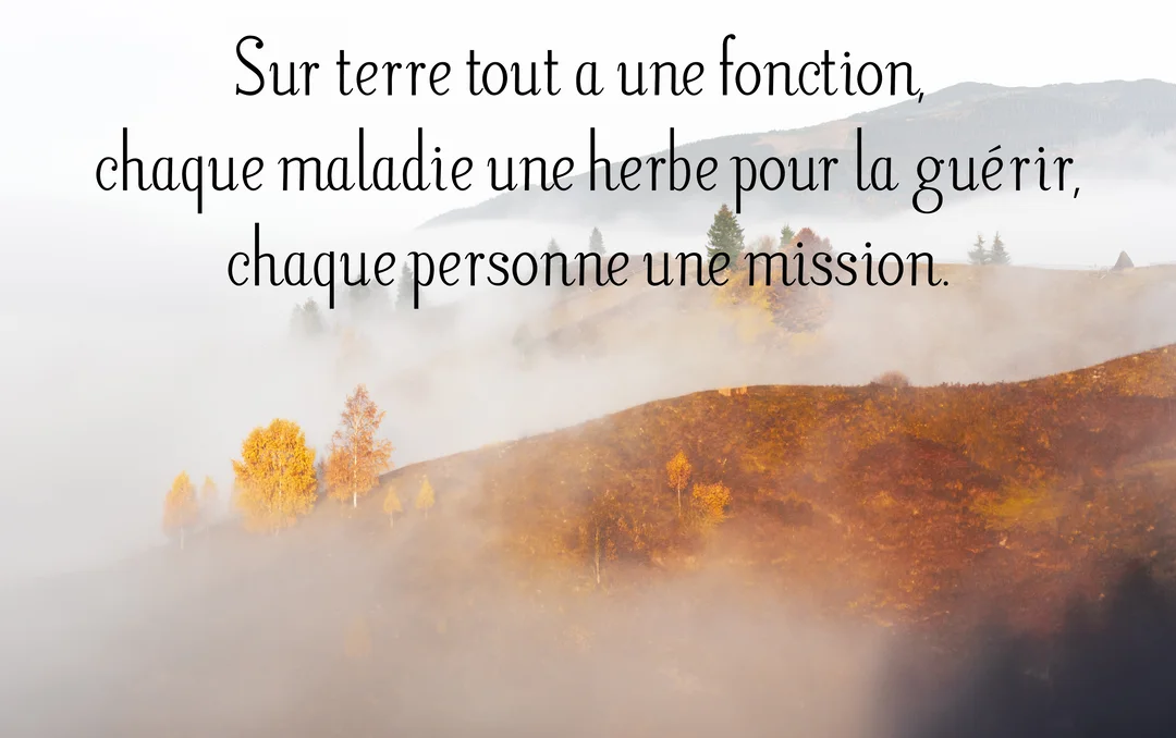 Une citation philosophique en noir est superposée sur une photographie d'un paysage montagneux et brumeux, avec des arbres aux teintes automnales dorées.