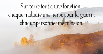Aperçu de la carte : « Sur terre tout a une fonction, chaque personne une mission... »