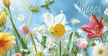 Aperçu de la carte : Merci