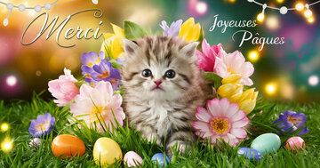 Aperçu de la carte : « Souhaits de Joyeuses Pâques et remerciements... »