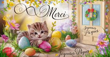 Aperçu de la carte : ^ ^