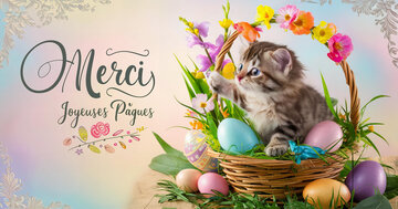 Aperçu de la carte : Merci Joyeuses Pâques