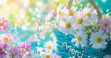 Aperçu de la carte : Merci