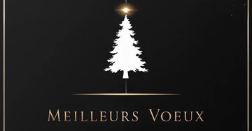 Aperçu de la carte : MEILLEURS VOEUX