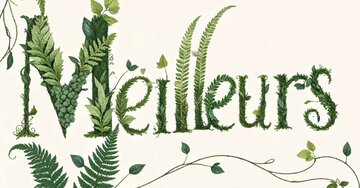 Aperçu de la carte : Meilleurs Voeux