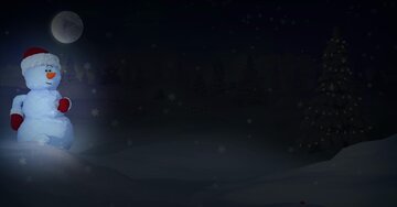 Aperçu de la carte : Bonne année