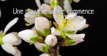 Aperçu de la carte : « Une nouvelle année commence... essayez de vivre le moment et profitez du temps présent... »