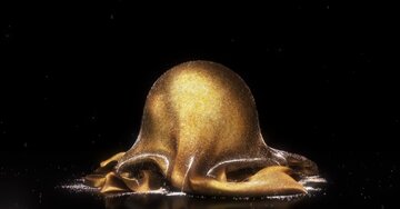 Aperçu de la carte : Meilleurs voeux