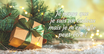 Aperçu de la carte : « Je pense que je suis un cadeau mais je m'emballe peut-être... »